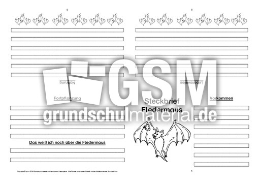 Fledermaus-Faltbuch-vierseitig-2.pdf